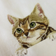 Illustration for article titled Internet Cats Make Boring Dress Shirts Better